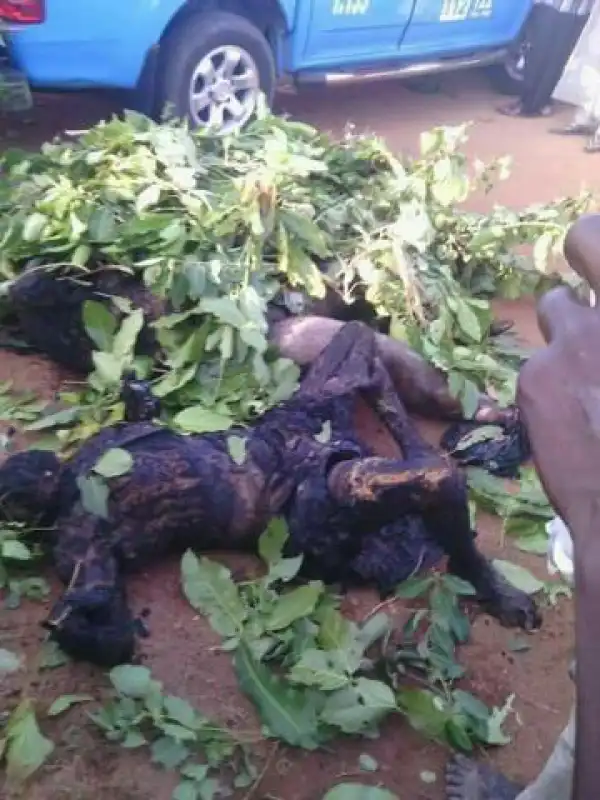 Terrible Fatal Accident Along Kachia Road,Kaduna(Graphic Photos)